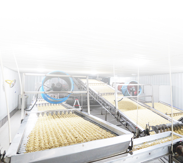  先进的生产设备