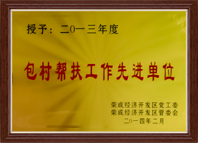 包村帮扶工作先进单位