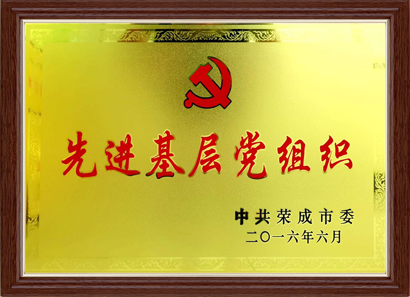 先进基层党组织